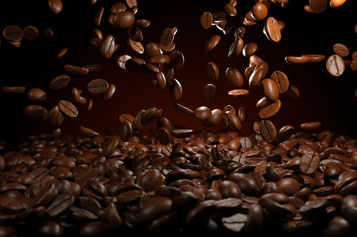 coffee bean